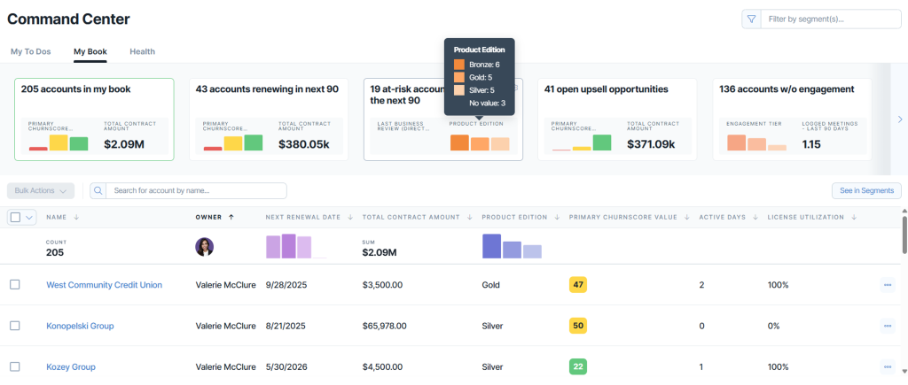ChurnZero Command Center with ChurnScores, renewals, and at-risk accounts